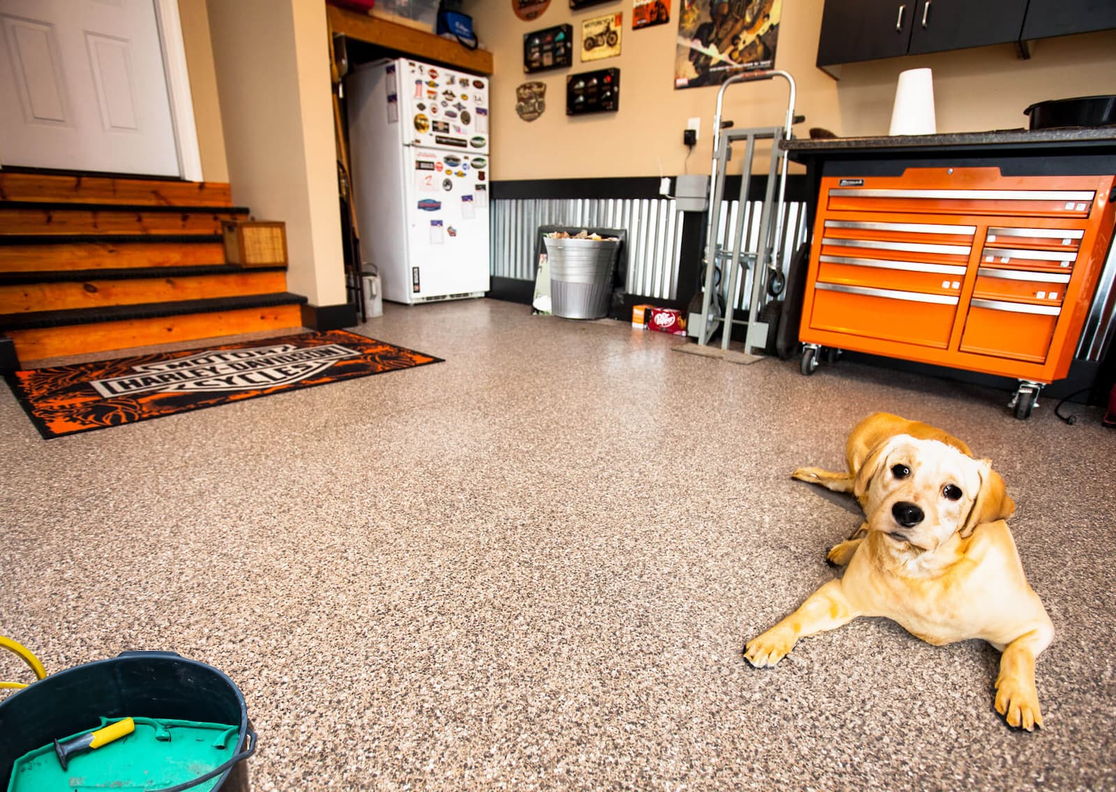 Residential Garage with Dog